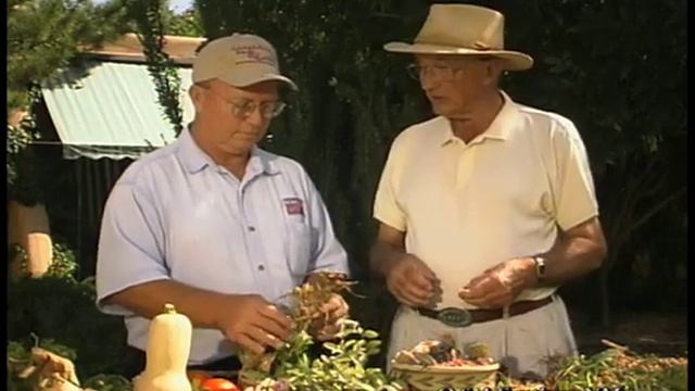 How To Identify Problems With Flowers & Vegetable Plants