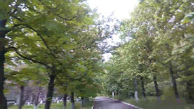 каштанова алея