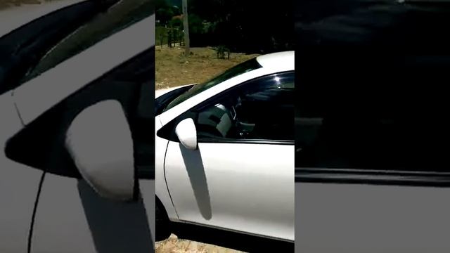 Carvector feedback Kadine (Jamaica)