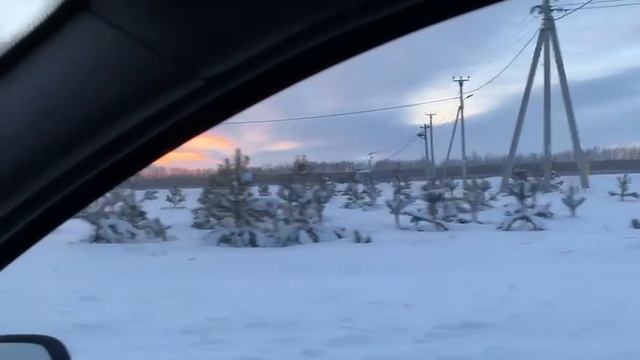 BioTeach Розовый вечер!