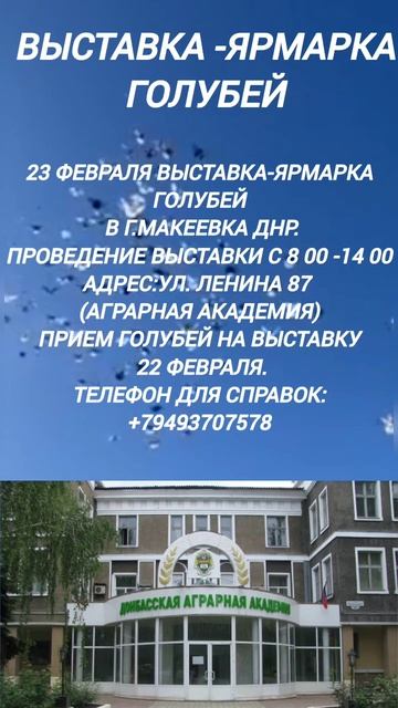 Выставка-Ярмарка голубей в г.Макеевка 23 февраля.mp4