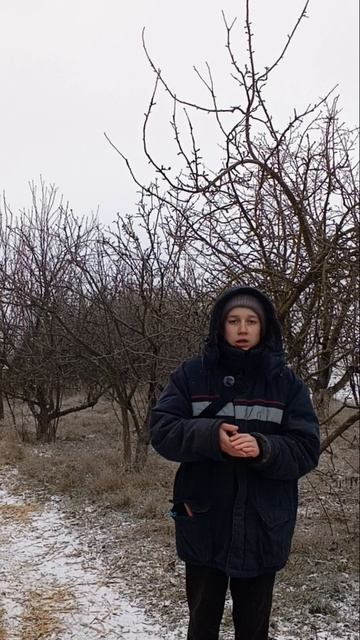 Какие ветки давать кроликам?? ТГК:DanilaFermer #shorts #farmlife #farming #fy #блогер #влог #Деревня