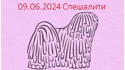 СУКИ _ FEMALES  Класс чемпионов _ Champion class 365. MATTHIAS REX KINCSEM (1)