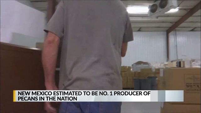 New Mexico leads in pecan production