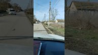 1001669133.mp4