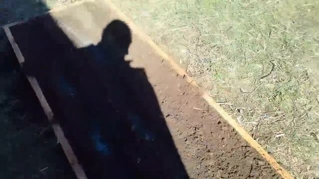 Крымская жизнь! Начались огородные дела!