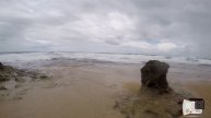 LIMON/GANDOCA