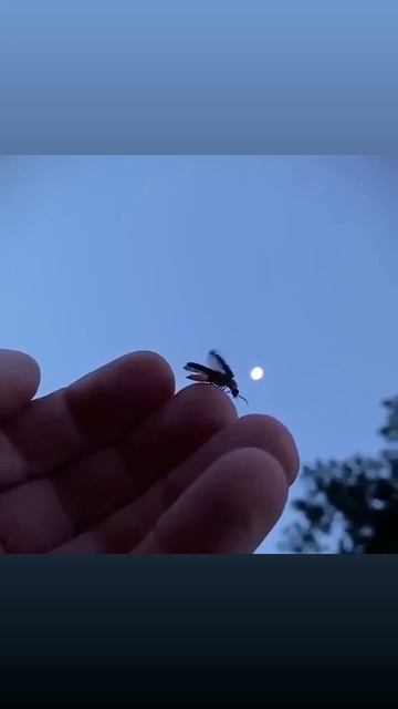 1000074078.mp4