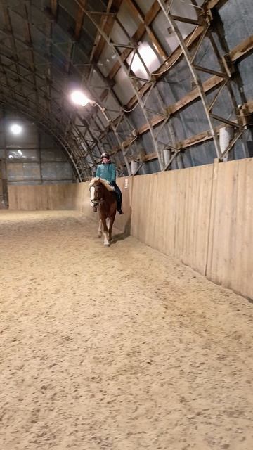 Анна и Каспер. #horse #equestrian #лошади #pony