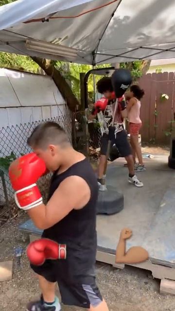 Boxing training jr