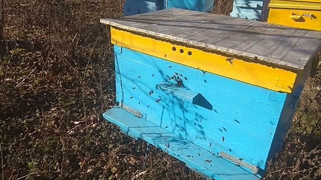 Облётик. 07.11.2021.