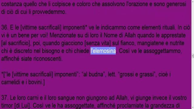 Il Qurano traduzione italiana capitolo 22