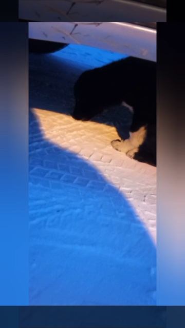 YouCut_20250218_200105112.mp4