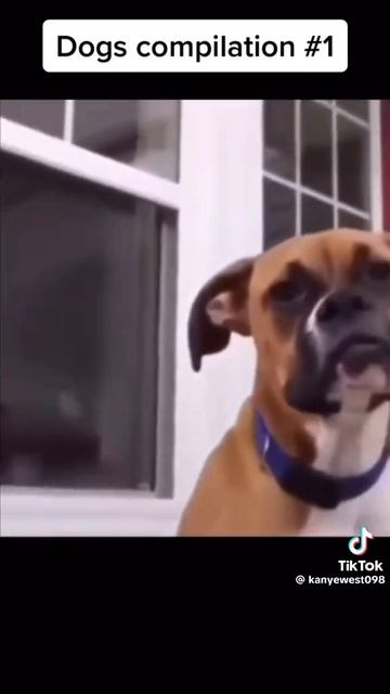 1000010119.mp4