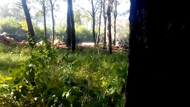 Бережок