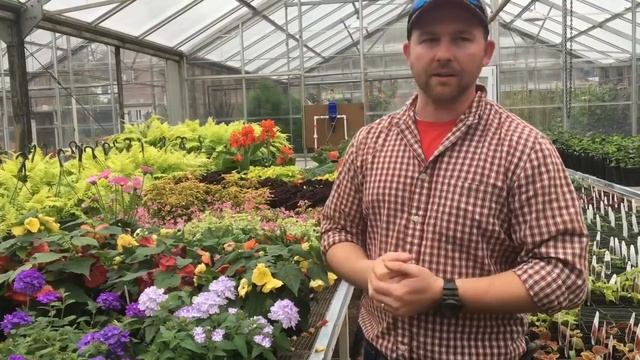 Plant Selection Guide
