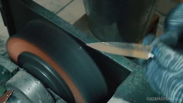 1000065659.mp4