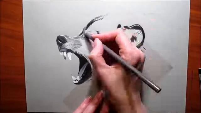 Realistic painting of Wolf | Jasmina susak | pencil painting