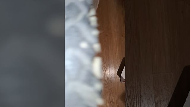1000044661.mp4