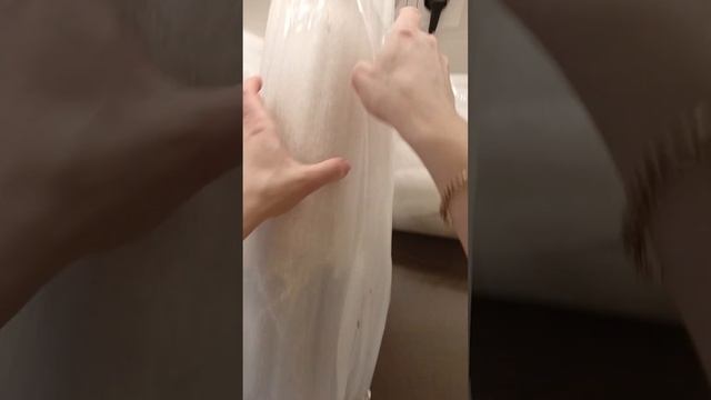 распаковка комнатных растений, сансевиерия муншайн