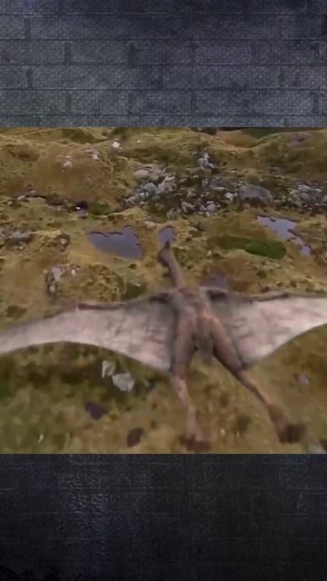 Динозавры пришли на Землю под раскаты громовых вулканов. Ч-1