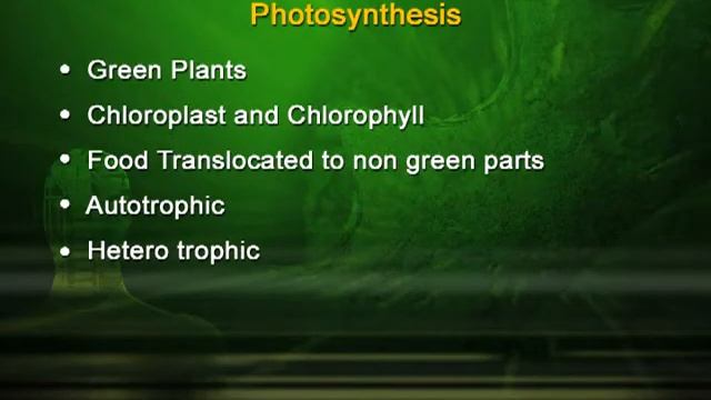 Processes Involved in Respiration and Photosynthesis