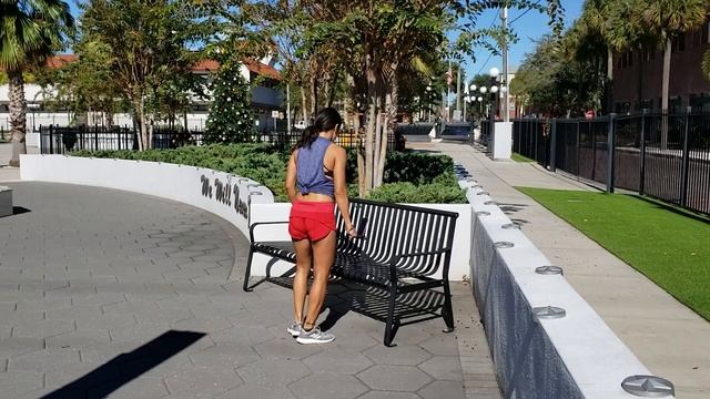 The 12 Days of Fitmas | Day 4 - The Park Bench Workout