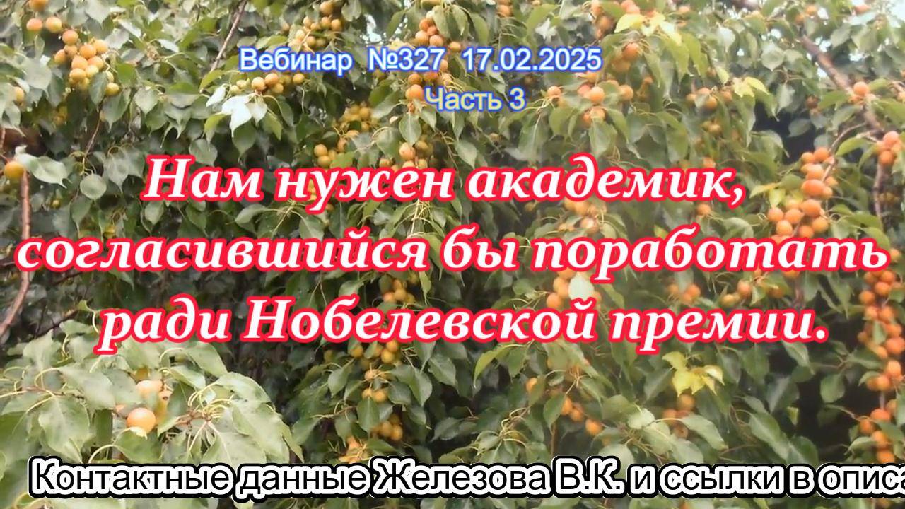 Железов Валерий. Вебинар 327. ч.3.  Нам нужен академик, согласившийся бы поработать  ради Нобелевско