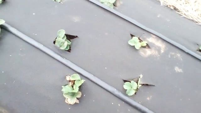 обязательно проветривайте тонели