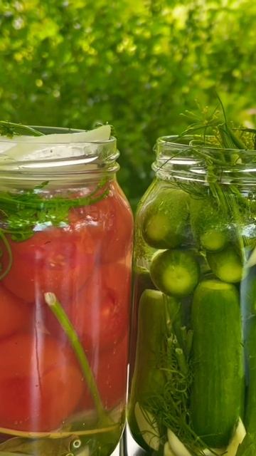 Сезон Солений! Огурцы за Один День и Малосольные Помидоры 🍅 за Три