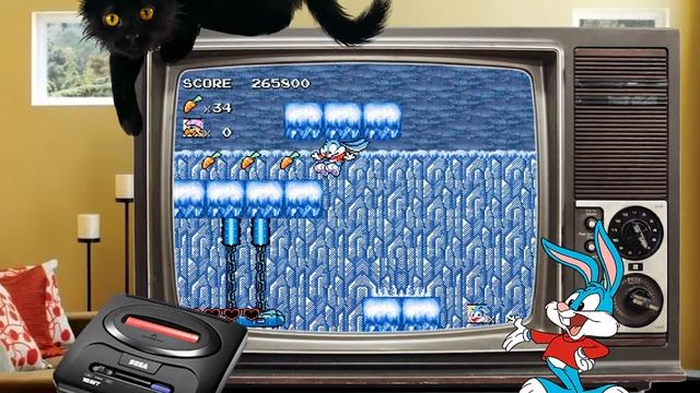 Tiny Toon Adventures: Buster's Hidden Treasure прохождение #6