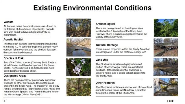 Sheridan Creek Erosion Control – Lushes Avenue to Clarkson Road South