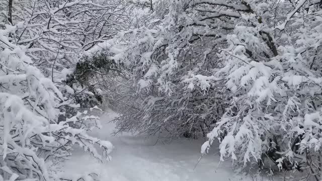 ЗИМА заглянула в Крым. Крым засыпало снегом.
