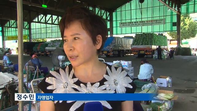 배추·무 값, 한 달새 2배…폭염에 채솟값 급등 / KBS뉴스(News)
