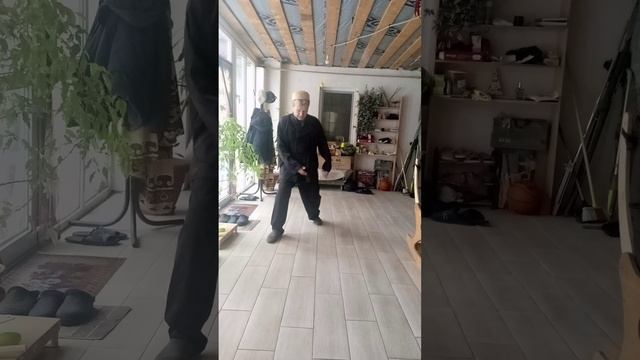 Шаг тайцзи.Ставр.