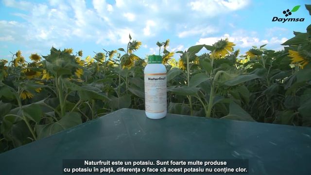 Spor de producție și legume gustoase cu Protocolul de Tratament Daymsa