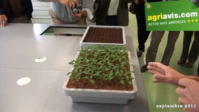 Visite de Nunhems, la société de semences potagères de Bayer CropScience