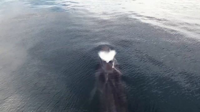 Туры на Камчатку