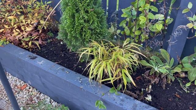 November Spring Bulb Haul & Planting 🌷💐//NOVICE GARDEN