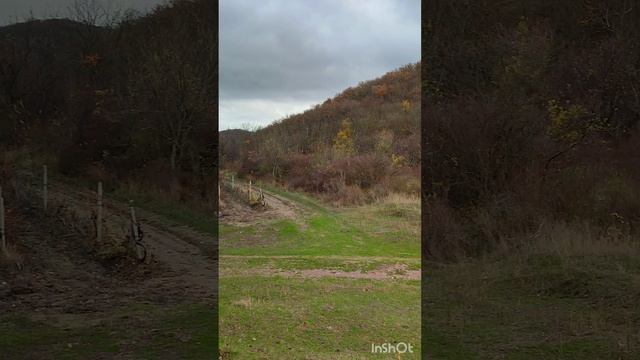 Щебетовка в начале декабря 2023
