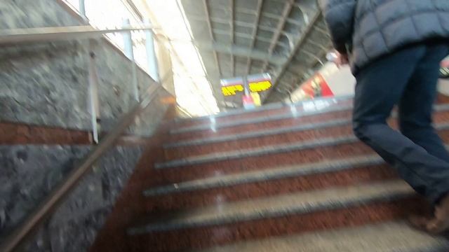 Хочу переехать в Калининград. Ноябрь 2024.