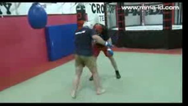 Mirko Cro Cop Filipovic training 15.05.2009. part 2