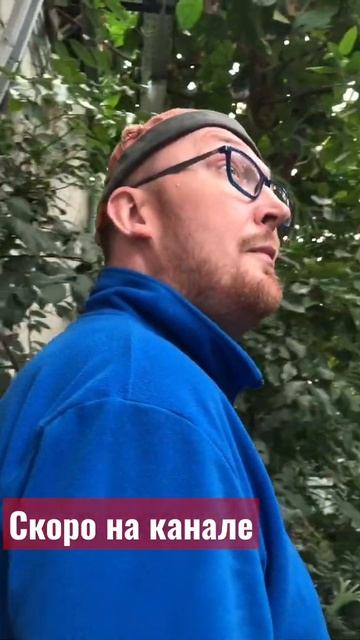 В Тайланд на 150 рублей