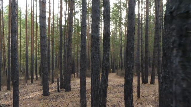 #КрасивоеЗабайкалье