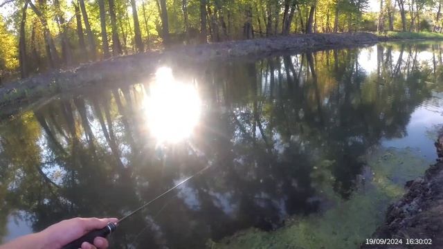 Рыбалка с Спиннингом Fish Crystal ERMINE 
 1.68м 0.3-1.0гр. Ловлю окуня 🎣