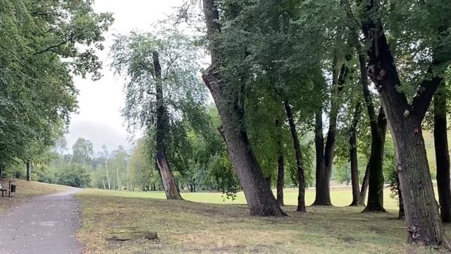 Femeia a găsit o coșniță în pădure și a adus-o acasă. Dar, când a aruncat o privire înăuntru...