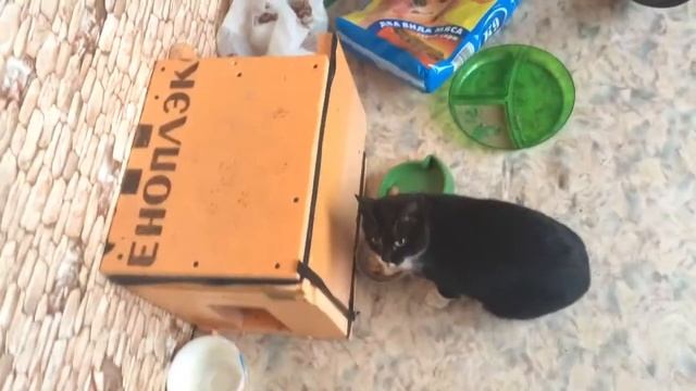 Смерть скоту!