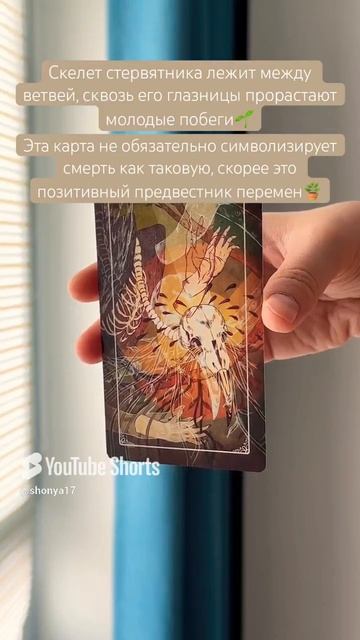 🪴#картадня #cardoftheday #таро #tarot #совет #таропрогноз