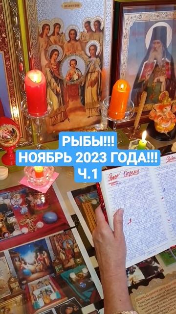 РЫБЫ!!! НОЯБРЬ 2023 ГОДА Ч.1