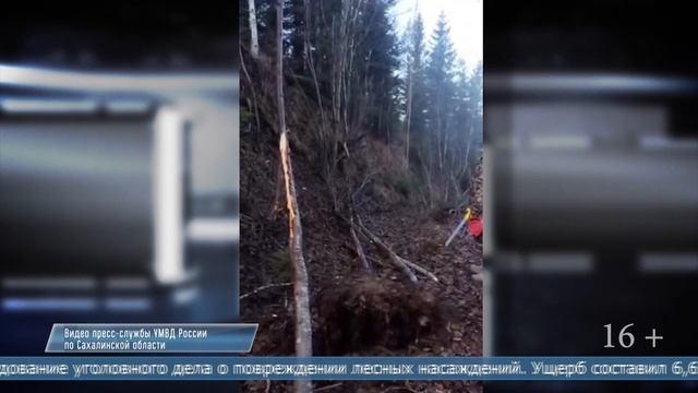 17.02.2025 Программа «ЧП 65»